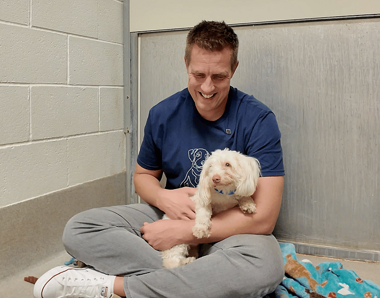 Sitting with dogs 73